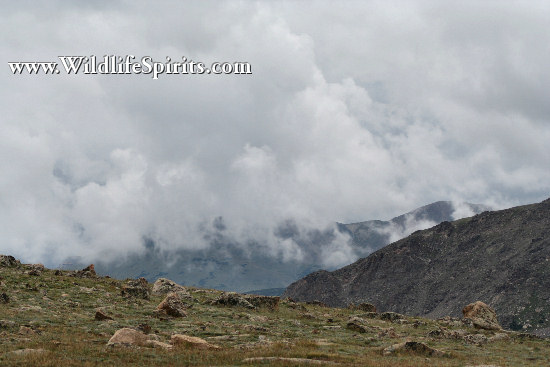 Click Picture to send as an  E-PostCard 65k 550x367